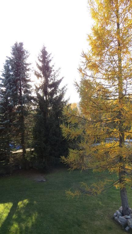 V+V Pension Harrachov Bagian luar foto